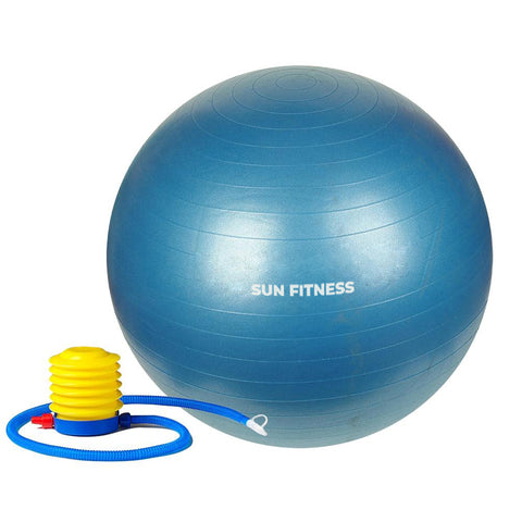 Gym Exercise Ball - EBL-13