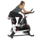 EFITMENT Indoor Cycle Bike, Magnetic Cycling Trainer Exercise Bike w/ 44 lb Flywheel - IC033